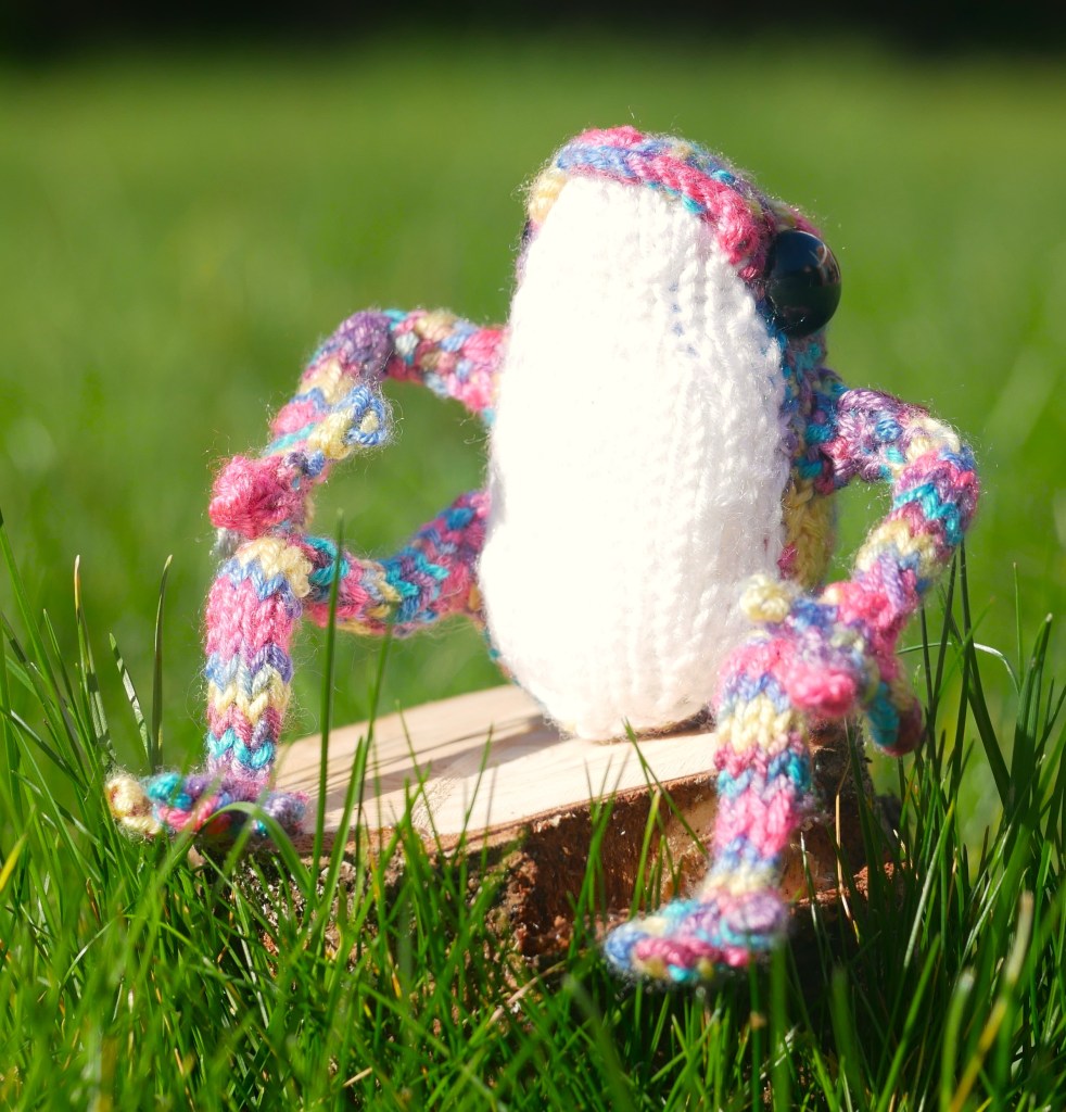 Woolly Well-Wishers Disco Frog 0