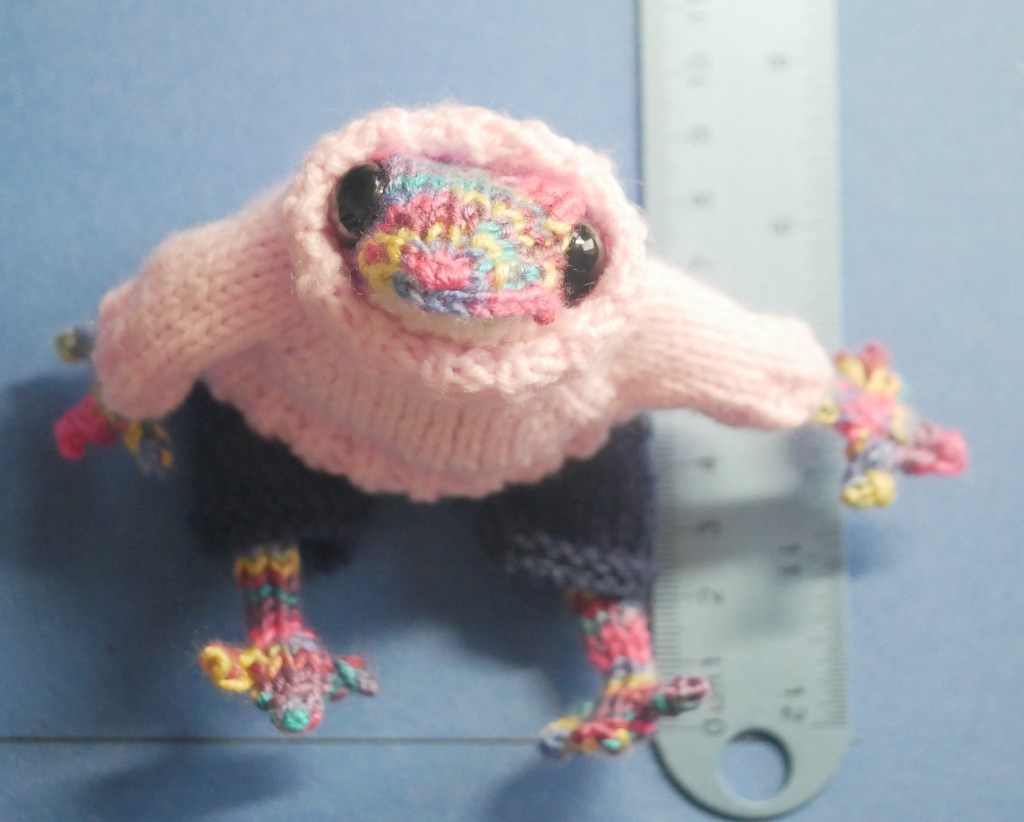 Woolly Well-Wishers Disco Frog 6
